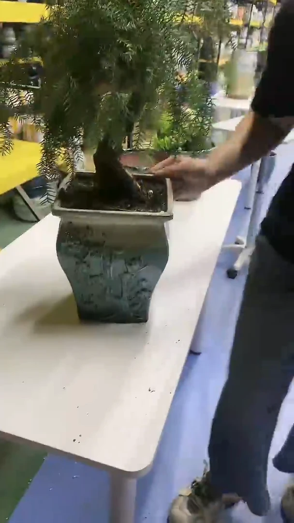 宜兴紫砂粗陶花盆