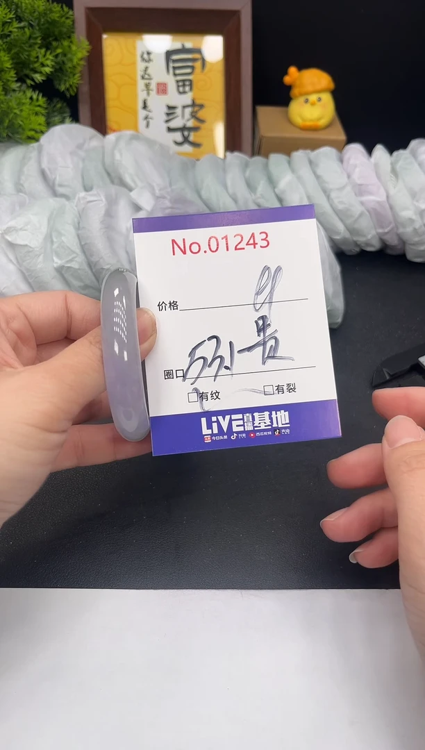 未镶嵌手镯翡翠拍下以实物为准1243
