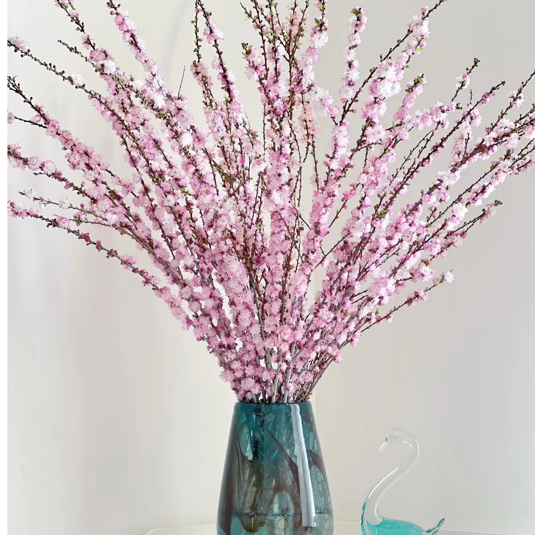 【珍珠李】鲜切枝一单包邮三单顺丰冷链 云南基地鲜花直发