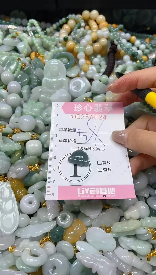 翡翠未镶嵌颈饰闪购0254924