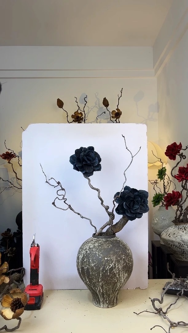 老****）龙枣枝蓝花楹（特价不退不换）