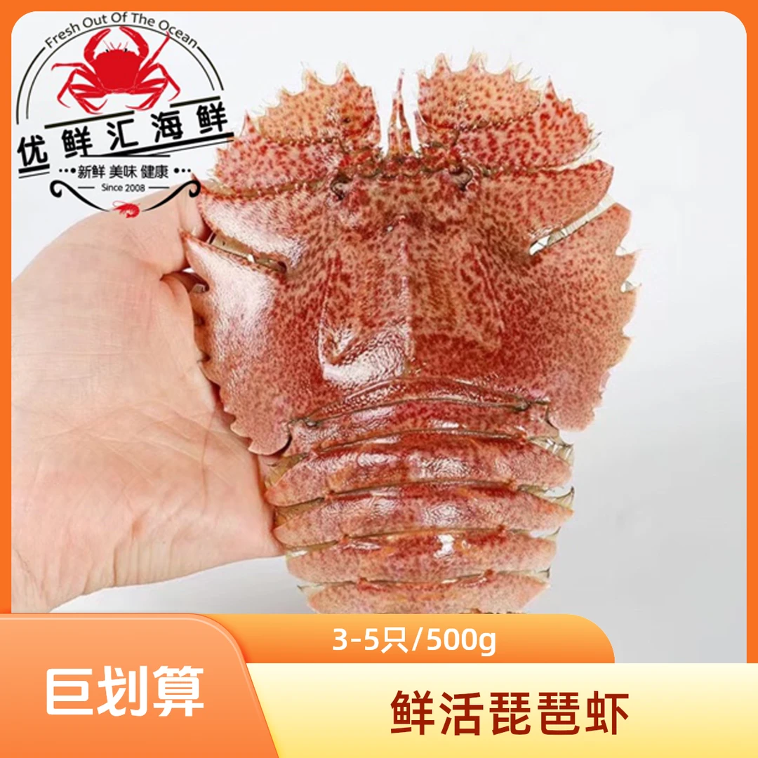 鲜活琵琶虾 毛缘扇虾 虾排(3-5只) 500克