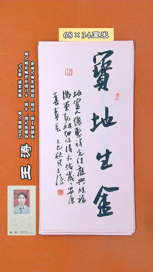 书法50D王涛书法作品