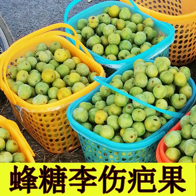 蜂糖李贵州六马水果脆甜多汁脱骨新鲜四月镇宁应季水果