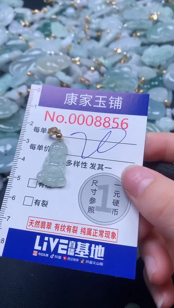 颈饰未镶嵌翡翠8856