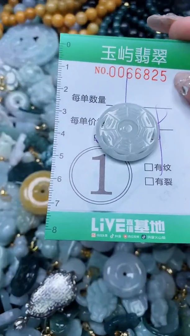【闪购商品】翡翠颈饰未镶嵌闪购0066825多样性发其一