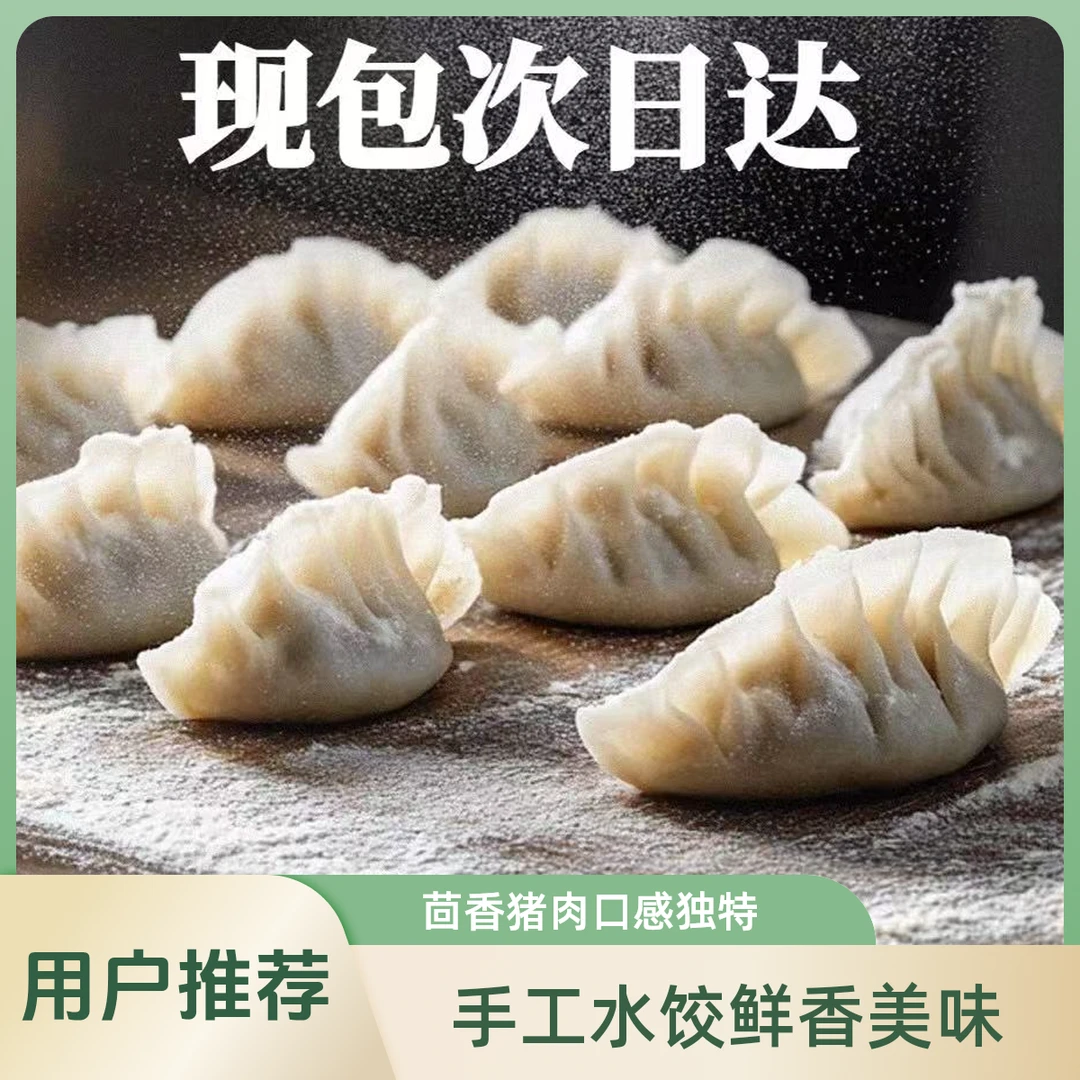 猪肉茴香水饺/纯手工现包500g 20个/盒广式早茶