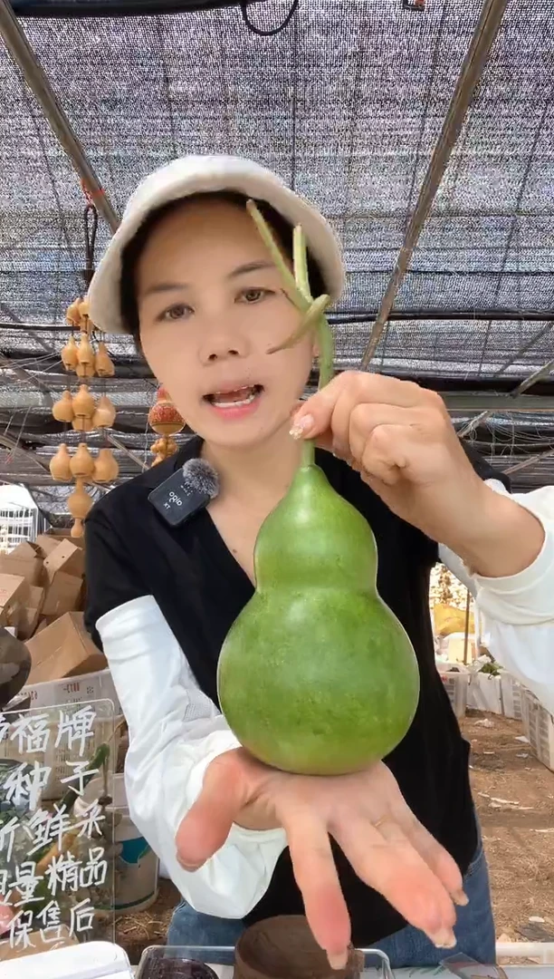 908天然葫芦摆件 一物一拍龙头不保售后