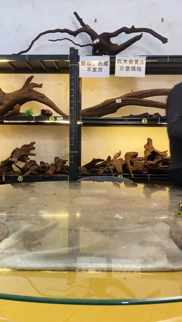 【闪购商品】柚木木艺117鱼缸造景沉木