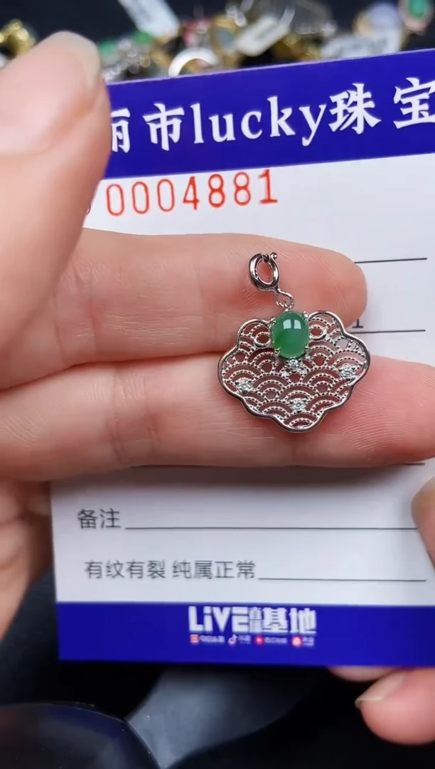 翡翠银S925镶嵌颈饰4881