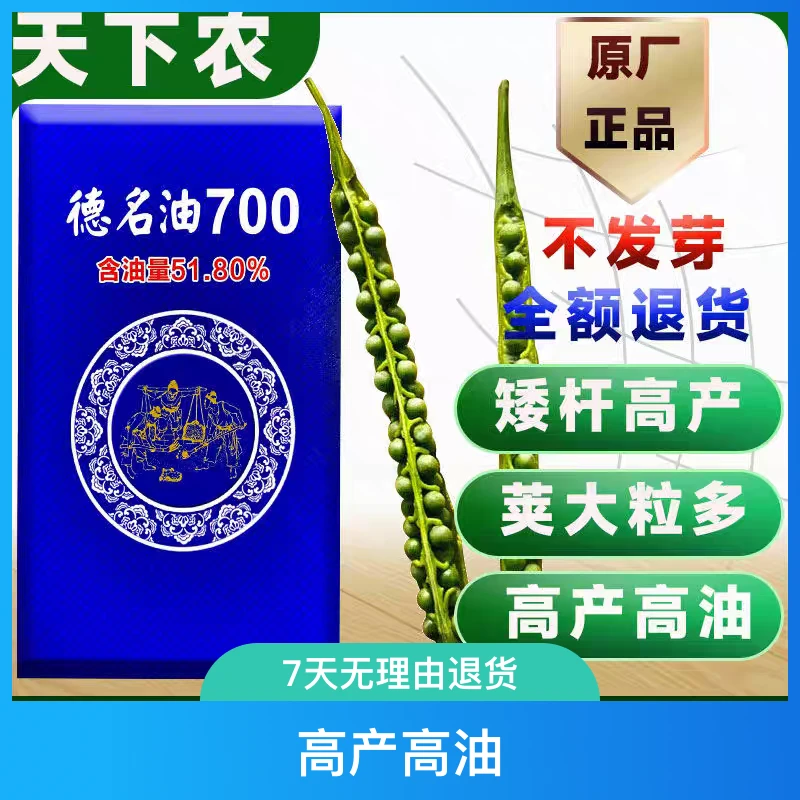 正品原装杂交德名油700油菜种子矮杆实心耐寒抗倒油菜种子德名油