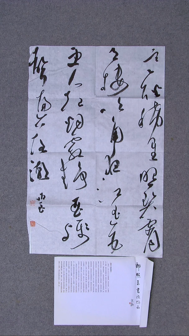 书法朗照玉甘肃兰州69*46（6）