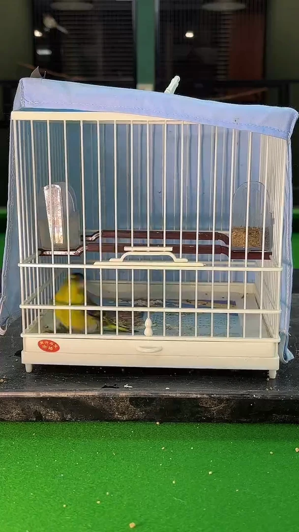 61号 黄雀养笼0元起拍