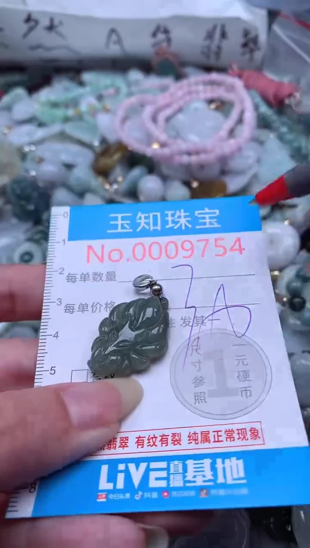 翡翠未镶嵌吊坠(不含链)9754