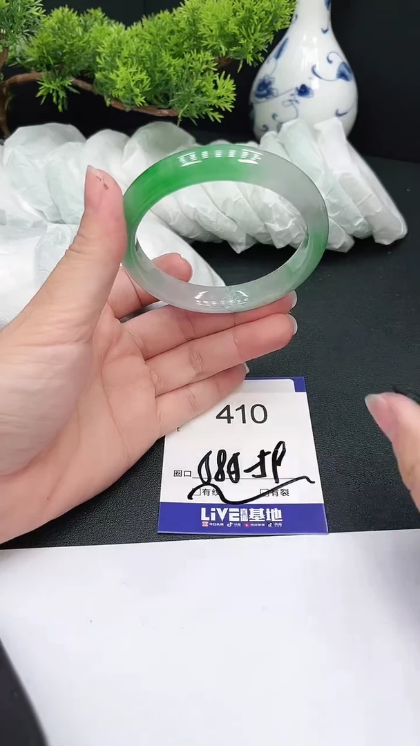 未镶嵌手镯翡翠410
