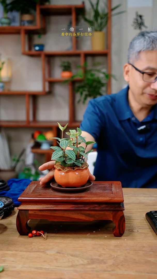 不开花植物亦*凡豆瓣绿649