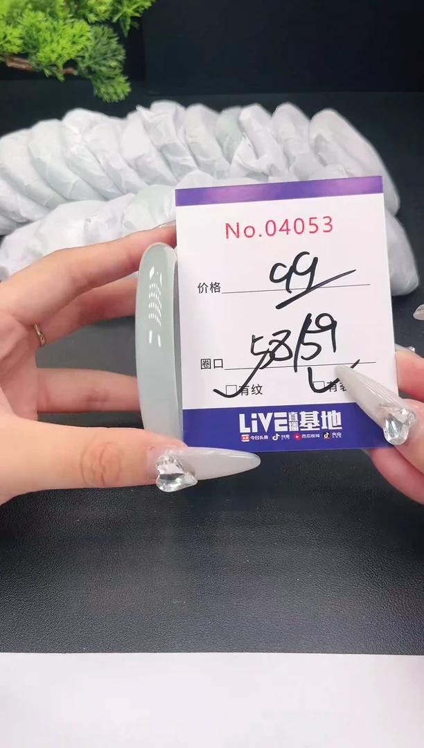 未镶嵌手镯翡翠4053