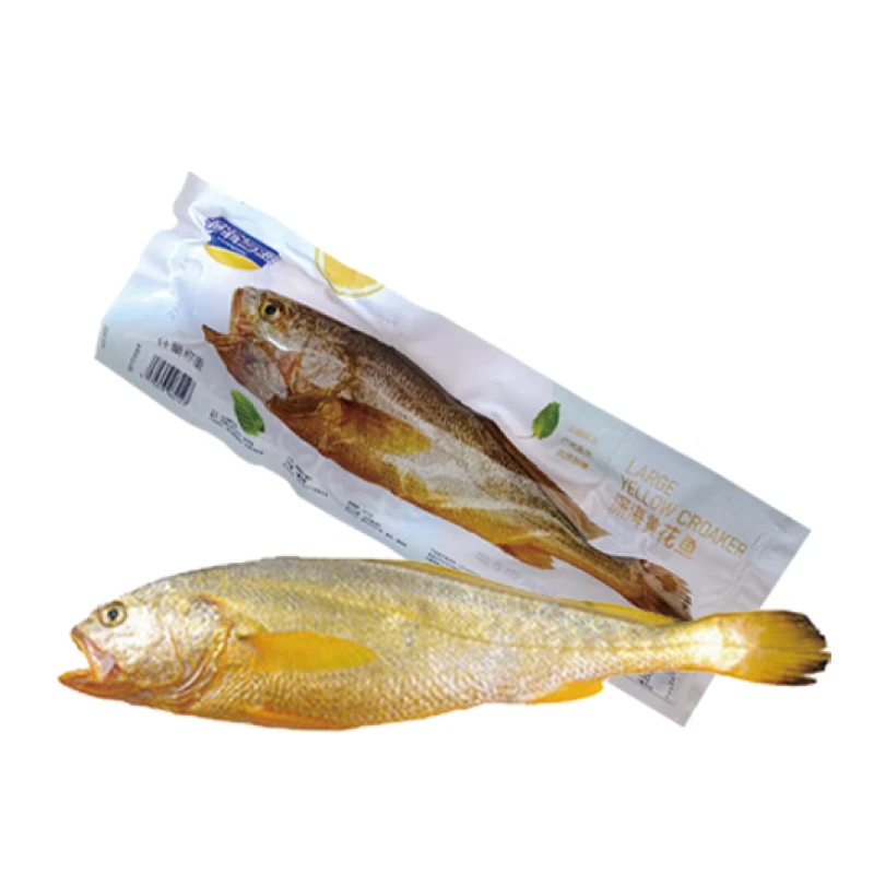 渔翁与海黄花鱼 1条