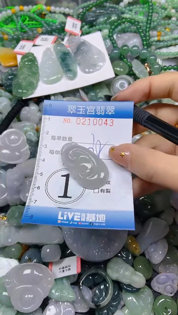 颈饰未镶嵌翡翠闪购C0210043