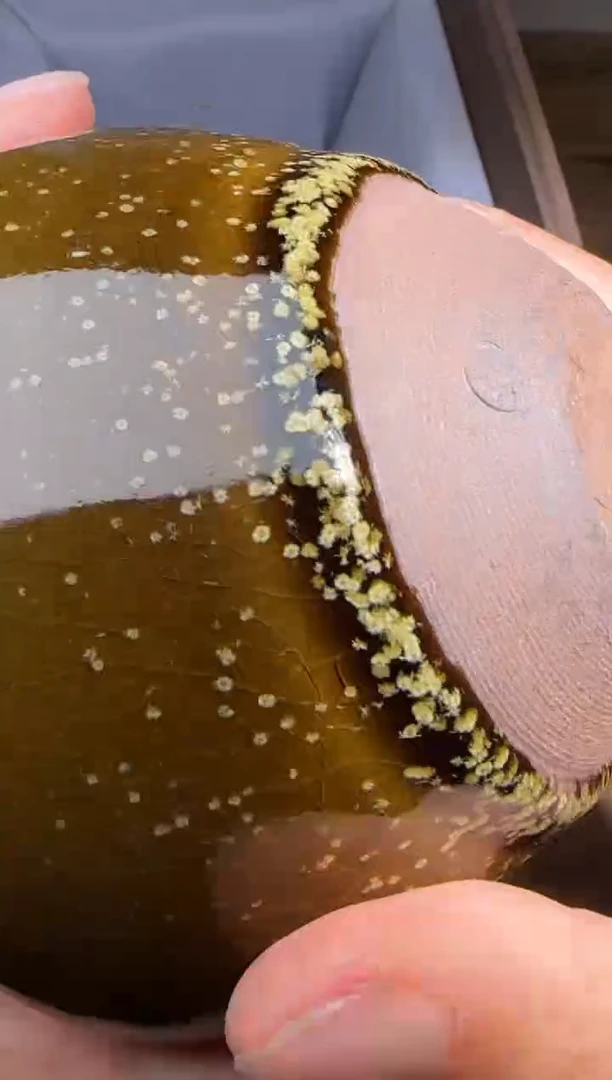 【闪购商品】茶盏陈平建盏精品分享87