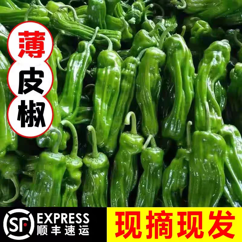 顺丰包邮现摘薄皮青椒不辣微辣新鲜孕妇可吃嫩虎皮青椒口感好