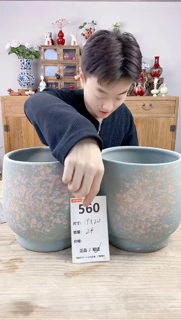 小玩子花盆直播号560