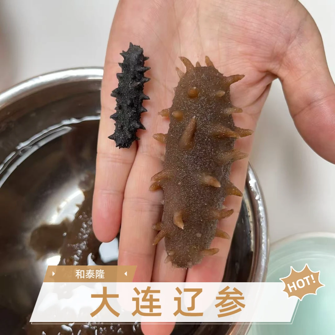 和泰隆 60头 100头大连辽参 泡发 8-10倍海参适合孕妈宝妈 1-500g