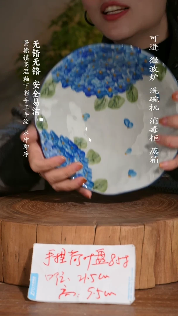 碗陶瓷景德镇高温瓷釉下彩手绘陶瓷