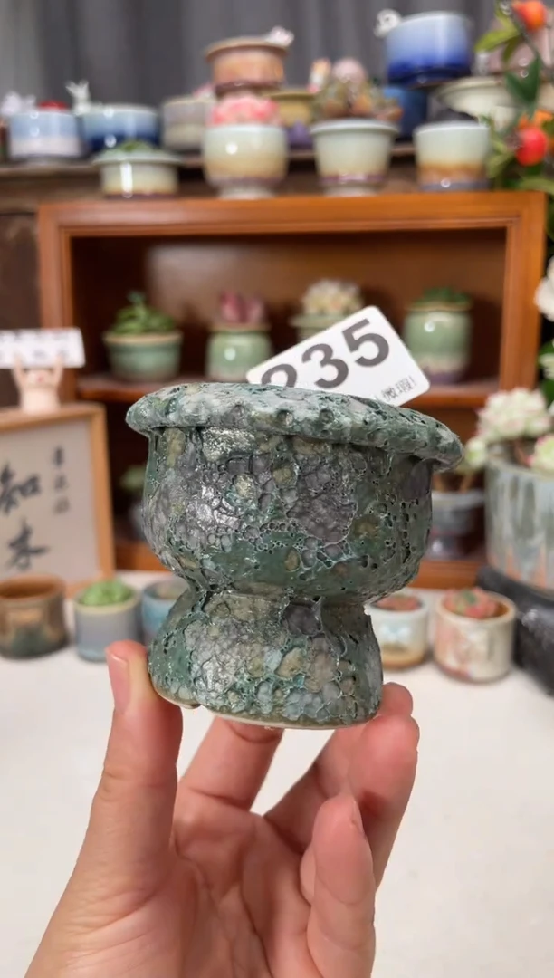 瓷片235知木小芳花盆直播编号