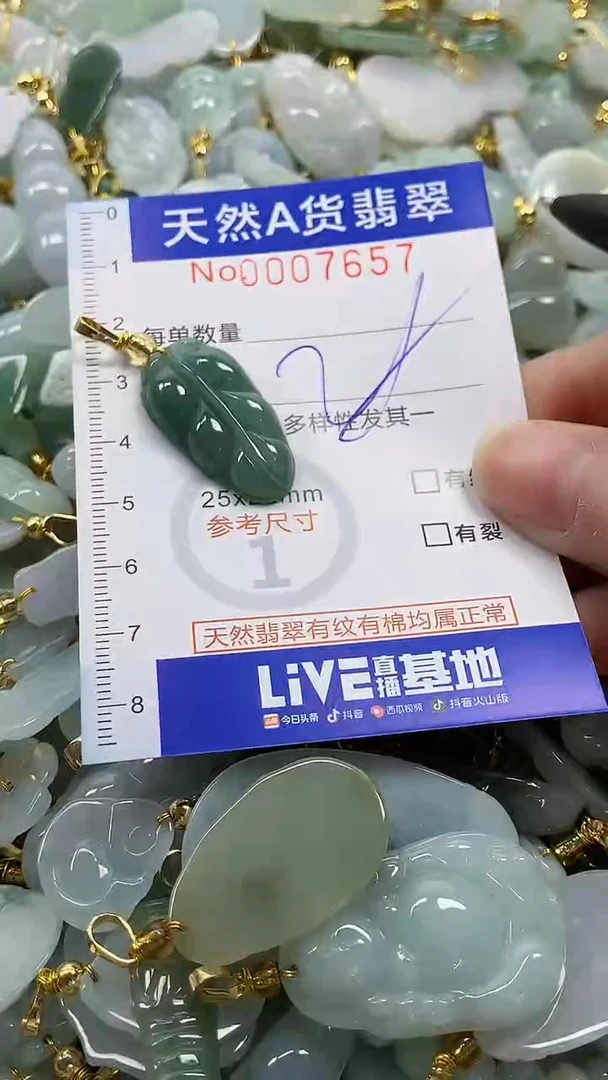 颈饰未镶嵌翡翠纯天然a货翡翠