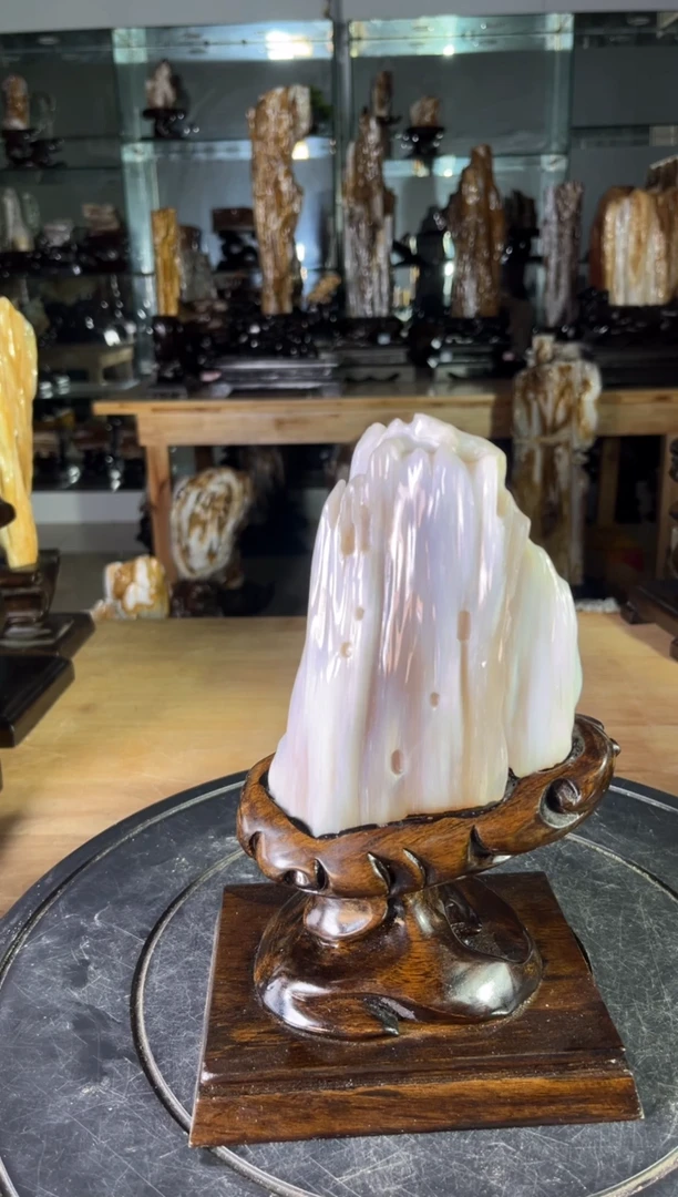 【闪购商品】硅化玉珠宝奇石未镶嵌1