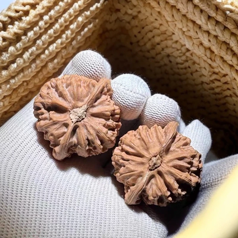 全品无药瓷娃娃蜡皮果文玩核桃手捻尺寸合适把玩佳品