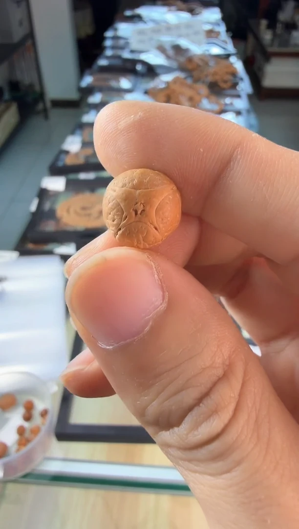 吊坠凤眼菩提3930 顶珠