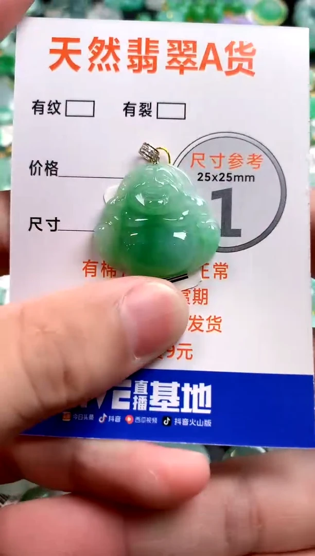 颈饰未镶嵌翡翠0583958735