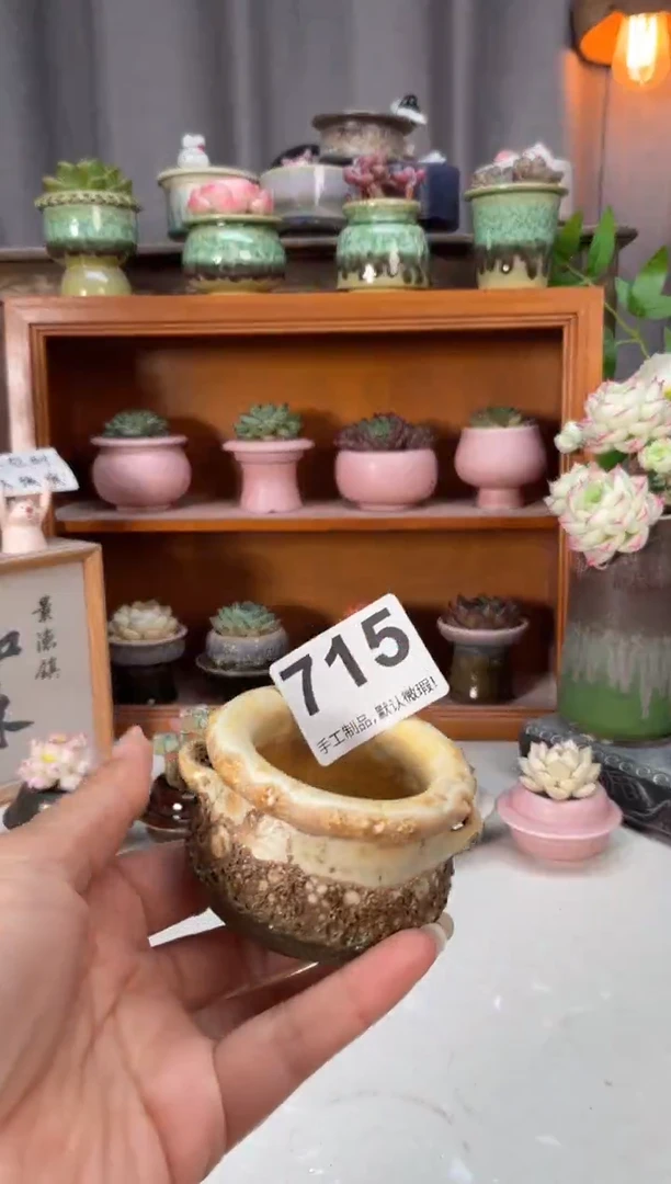 瓷片715小芳花盆直播编号