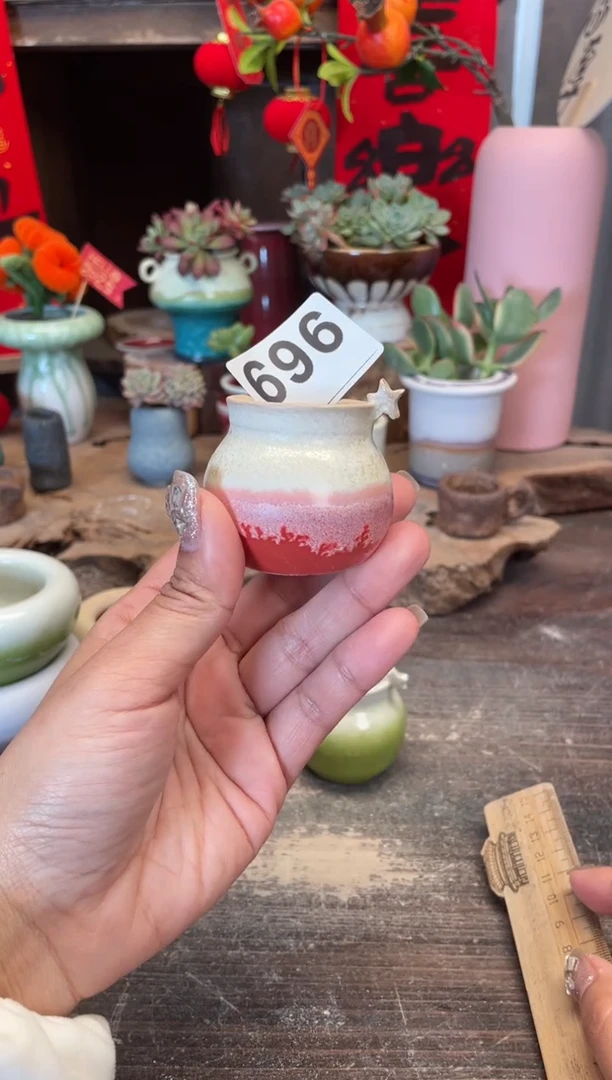 【闪购商品】摆件福利696福利知木小芳花盆