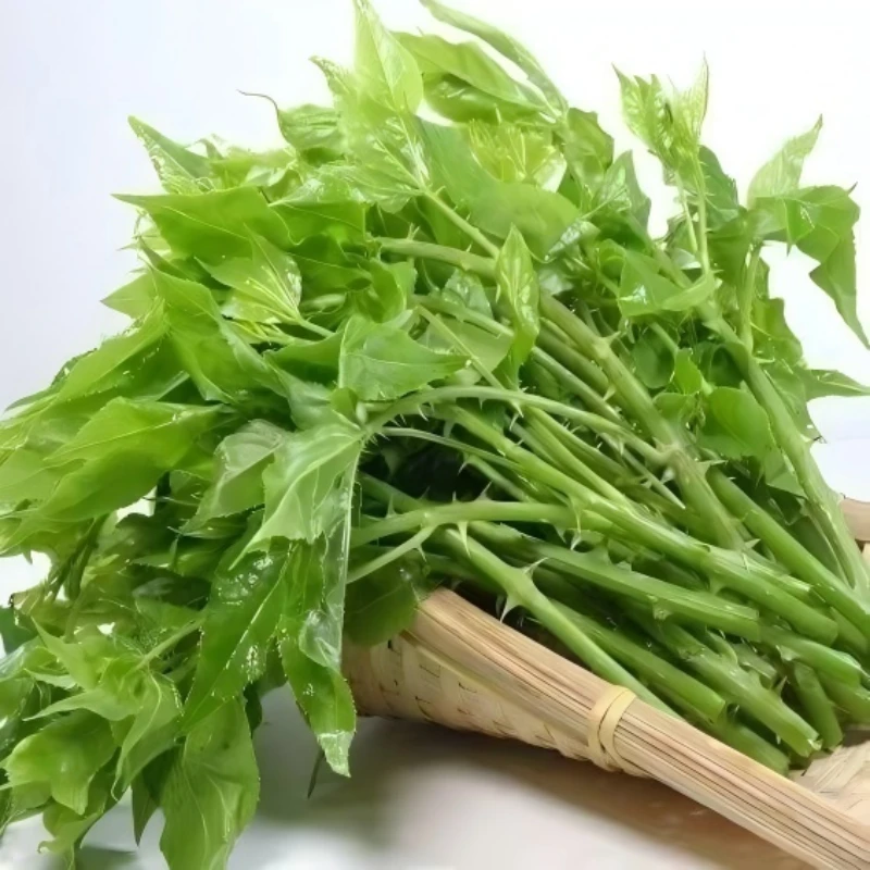 刺五家生鲜蔬菜拍1发1斤半