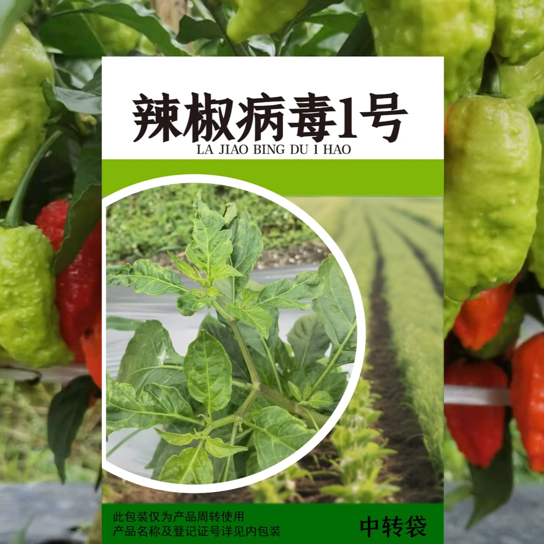辣椒病毒病防控套餐病毒1号20一套10套起发叶面喷施