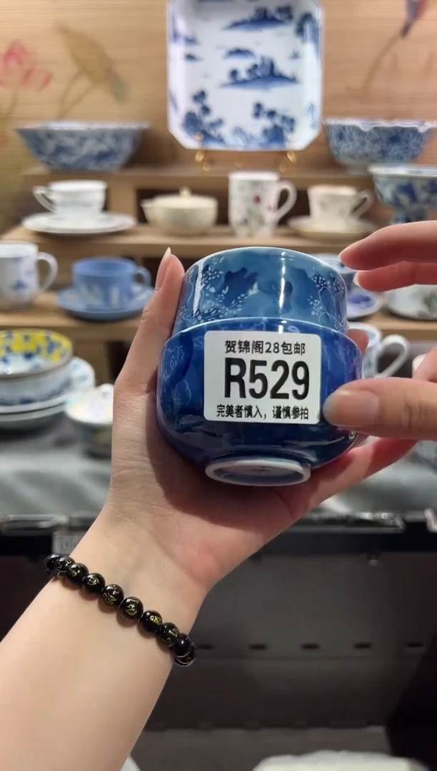 瓷片          R529