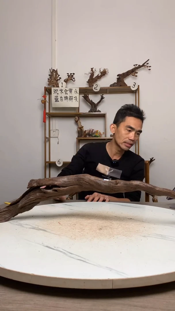 江**人鱼缸造景沉木摆件