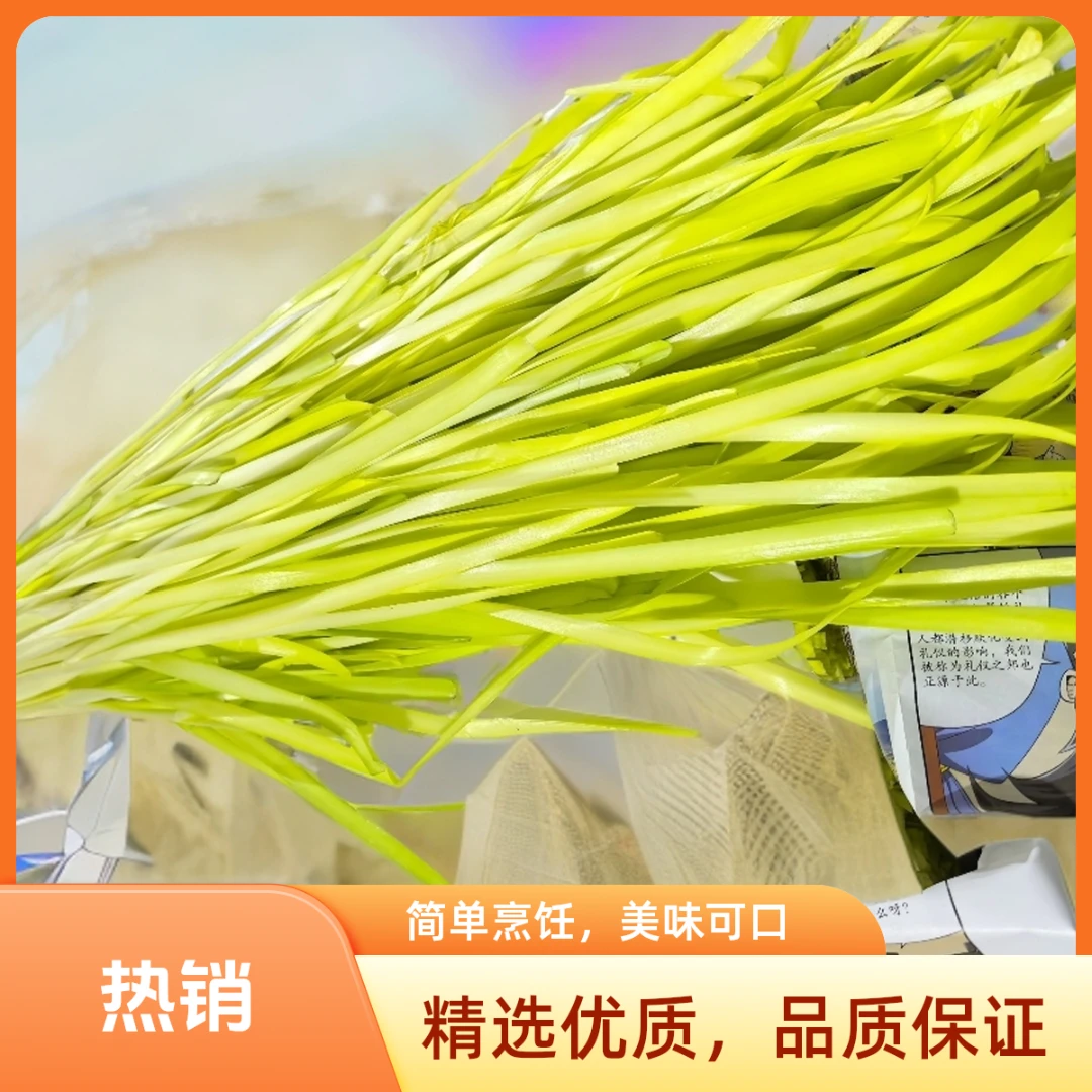 韭黄新鲜农家蔬菜基地当季应季时令蔬菜每日现割现发