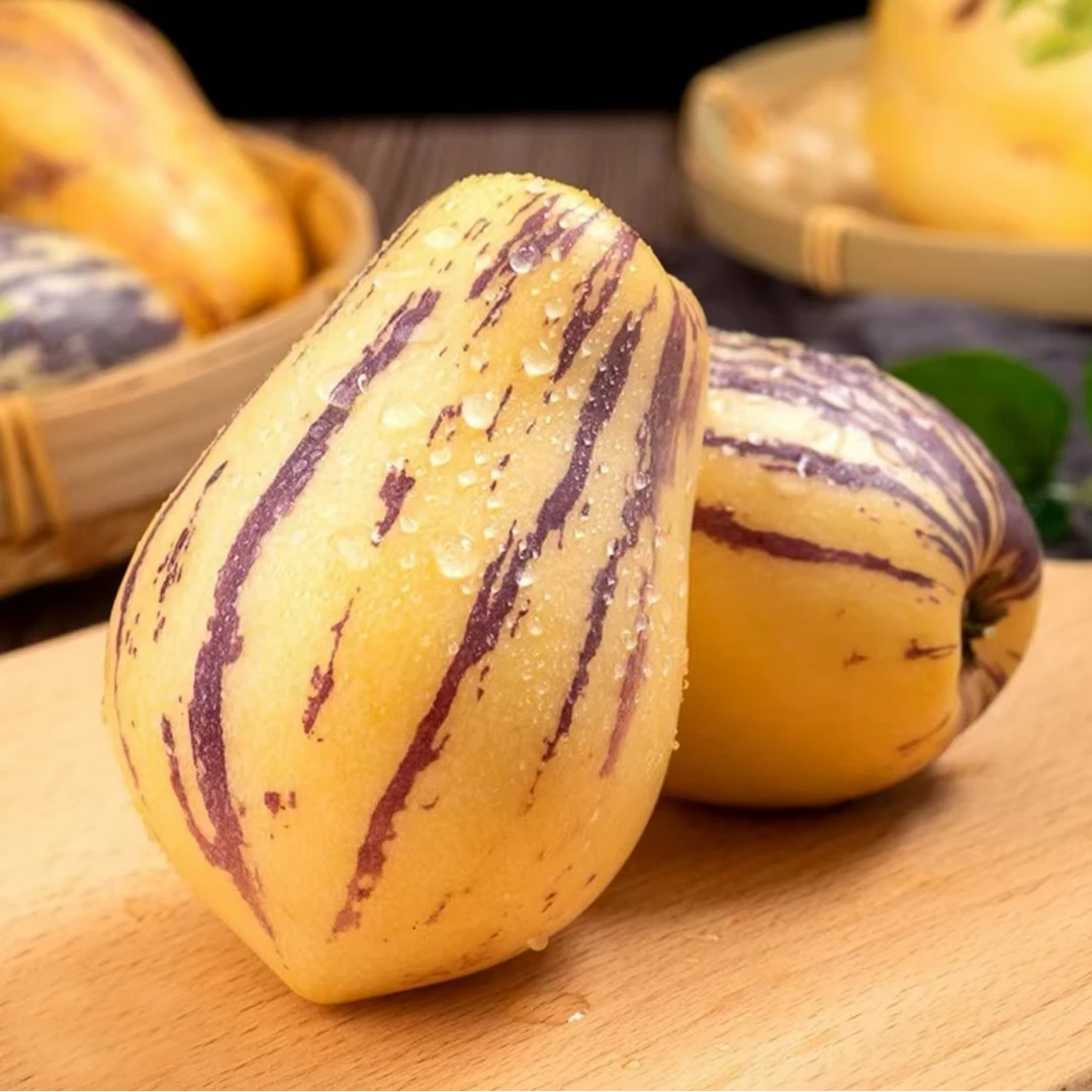 【顺丰包邮】DJ甘肃民勤沙漠人参果树熟黄果产地直发