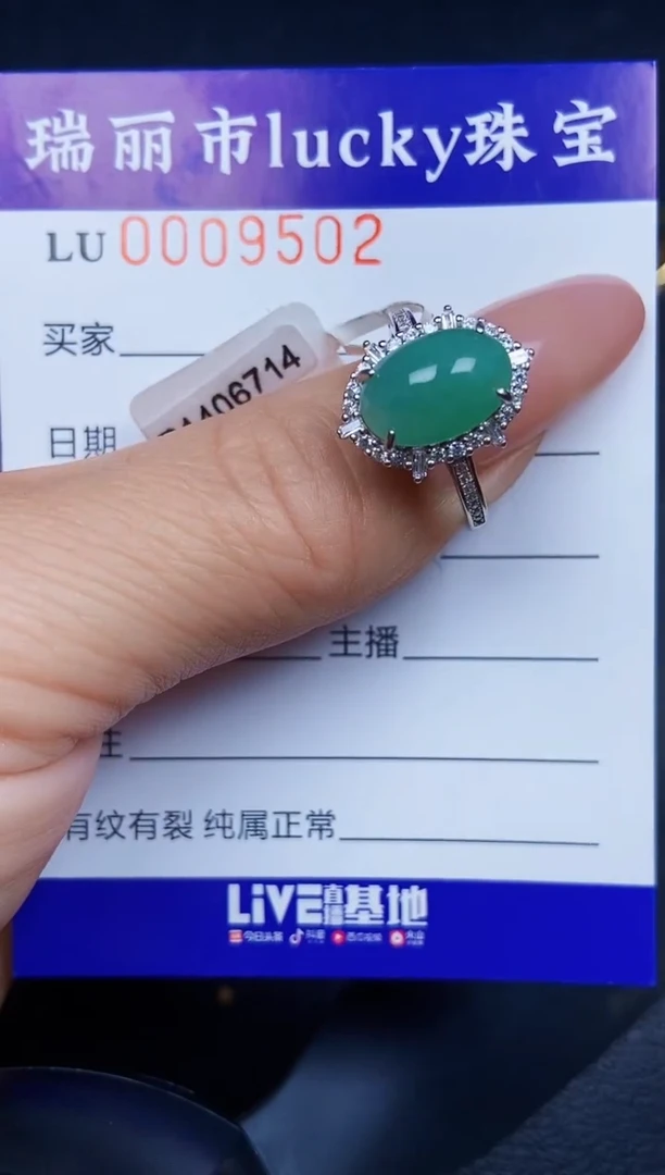 翡翠银S925镶嵌颈饰9502