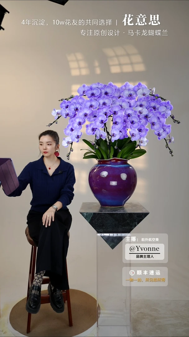 全部花朵020一物一拍蝴蝶兰艺术盆景