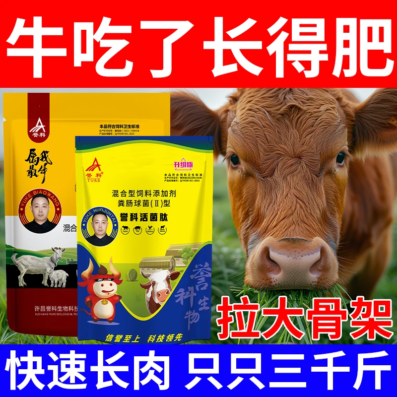 膘王活菌养牛肽拉骨架去油增重提早出栏畜牧饲料用品强效添加剂