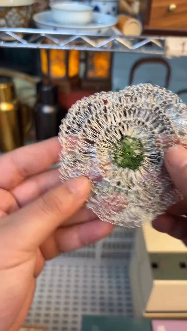 瓷片@@@@@@@@@@@WY156