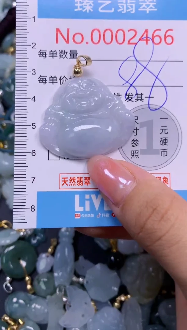 颈饰未镶嵌翡翠2466