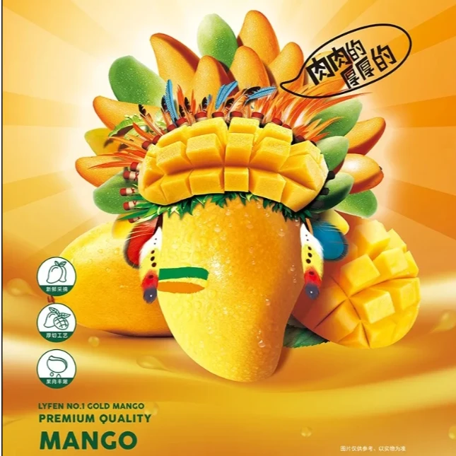 LYFEN/来伊份芒太后芒果肉58g