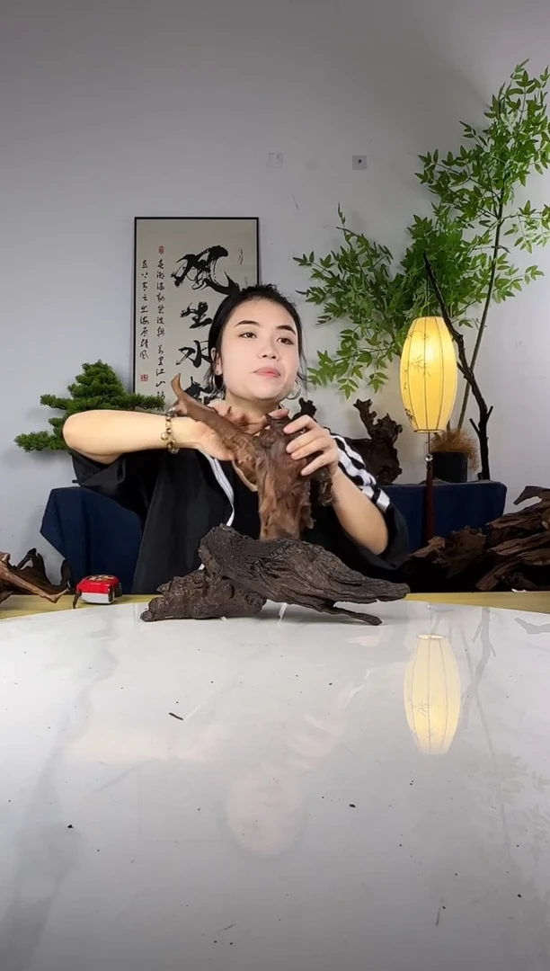 情***知拍这个定向编号20