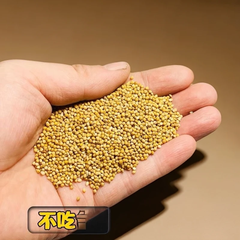 虎皮牡丹玄凤鹦鹉专用带壳黄谷子鸟食饲料